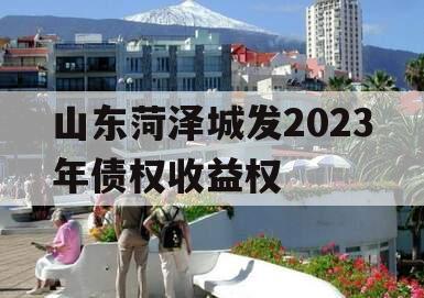 山东菏泽城发2023年债权收益权