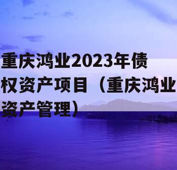 重庆鸿业2023年债权资产项目（重庆鸿业资产管理）