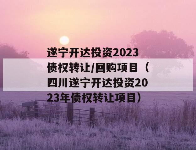 遂宁开达投资2023债权转让/回购项目（四川遂宁开达投资2023年债权转让项目）