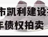 资阳市凯利建设投资2023年债权拍卖