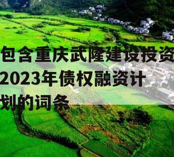 包含重庆武隆建设投资2023年债权融资计划的词条