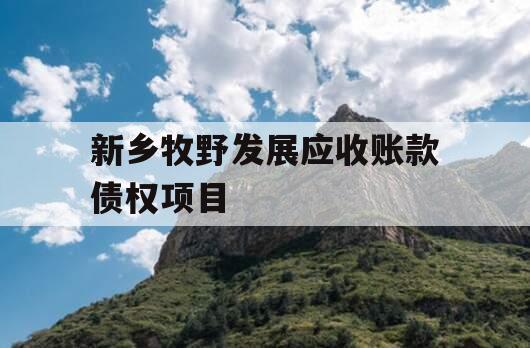 新乡牧野发展应收账款债权项目