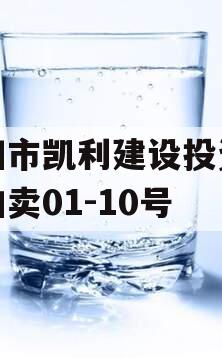 资阳市凯利建设投资债权拍卖01-10号