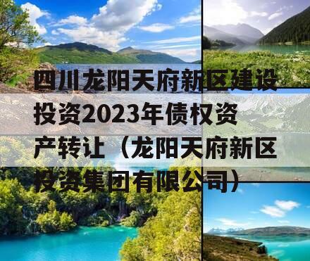 四川龙阳天府新区建设投资2023年债权资产转让（龙阳天府新区投资集团有限公司）