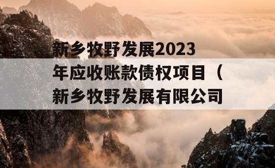 新乡牧野发展2023年应收账款债权项目（新乡牧野发展有限公司）