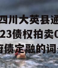 包含四川大英县通源实业2023债权拍卖02政府债定融的词条