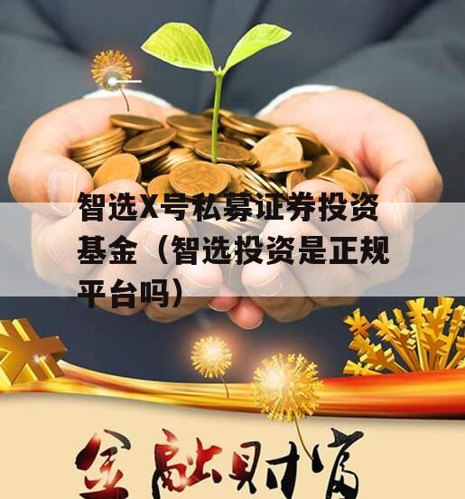 智选X号私募证券投资基金（智选投资是正规平台吗）