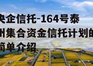 央企信托-164号泰州集合资金信托计划的简单介绍