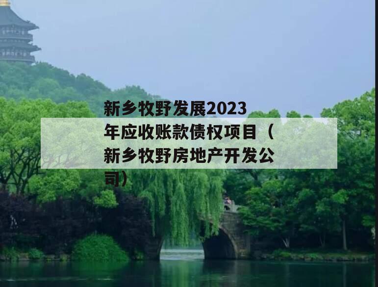 新乡牧野发展2023年应收账款债权项目（新乡牧野房地产开发公司）