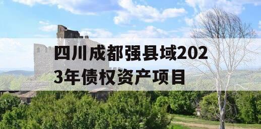 四川成都强县域2023年债权资产项目