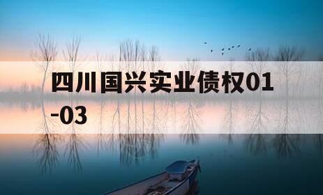 四川国兴实业债权01-03