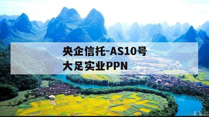 央企信托-AS10号大足实业PPN