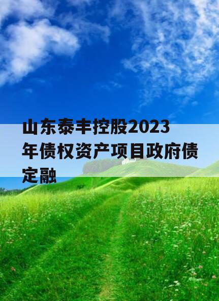 山东泰丰控股2023年债权资产项目政府债定融