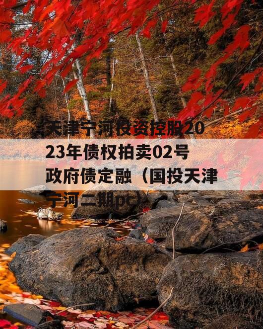 天津宁河投资控股2023年债权拍卖02号政府债定融（国投天津宁河二期pc）