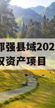 成都强县域2023年债权资产项目