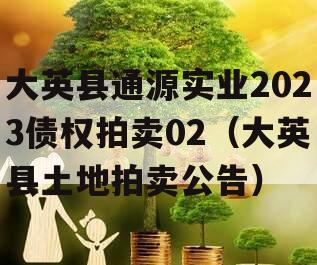 大英县通源实业2023债权拍卖02（大英县土地拍卖公告）