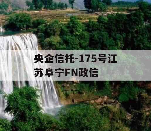 央企信托-175号江苏阜宁FN政信