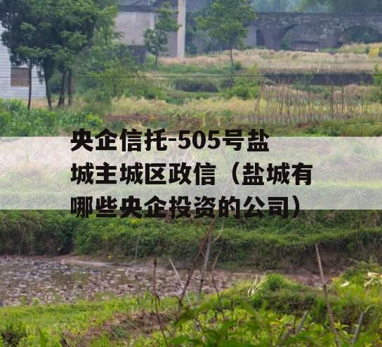 央企信托-505号盐城主城区政信（盐城有哪些央企投资的公司）