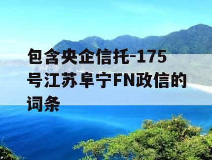包含央企信托-175号江苏阜宁FN政信的词条