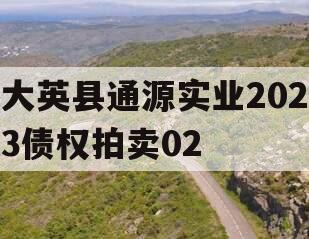 大英县通源实业2023债权拍卖02