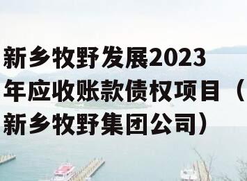 新乡牧野发展2023年应收账款债权项目（新乡牧野集团公司）