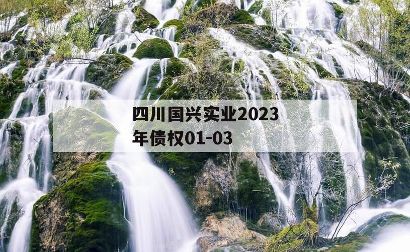 四川国兴实业2023年债权01-03