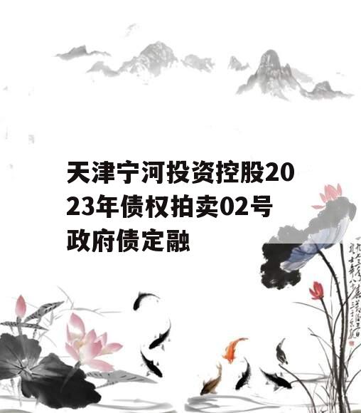 天津宁河投资控股2023年债权拍卖02号政府债定融