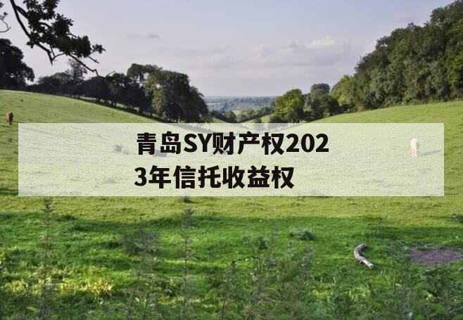 青岛SY财产权2023年信托收益权