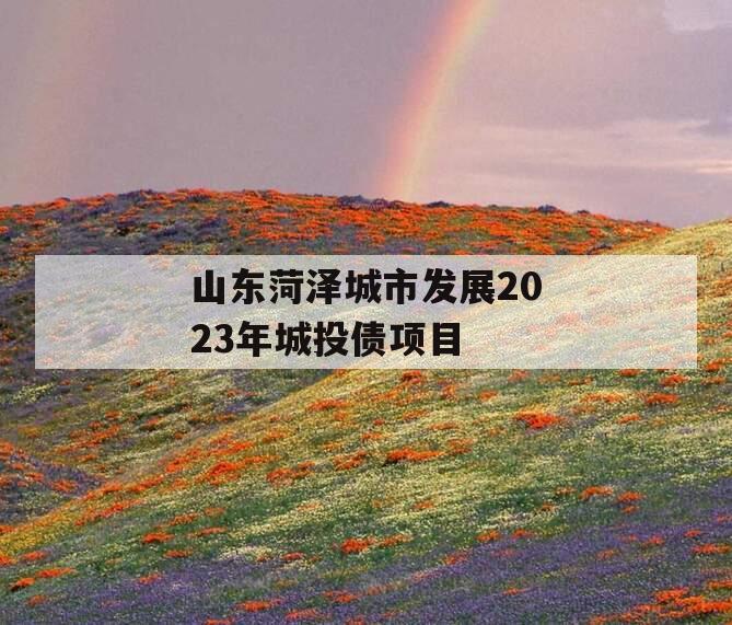 山东菏泽城市发展2023年城投债项目