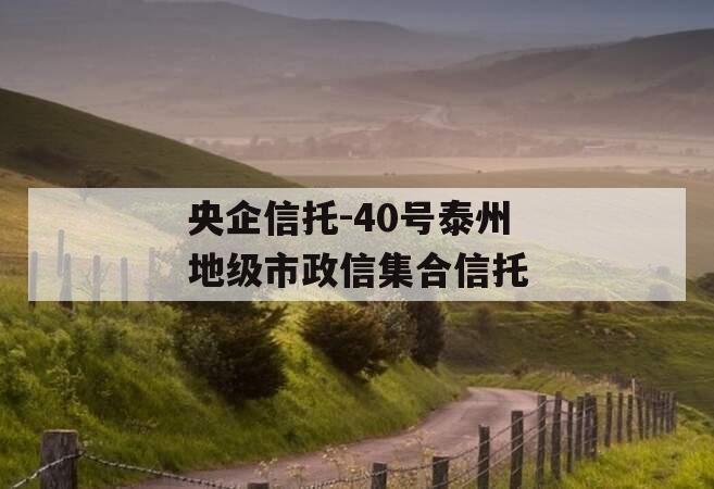 央企信托-40号泰州地级市政信集合信托