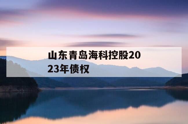 山东青岛海科控股2023年债权