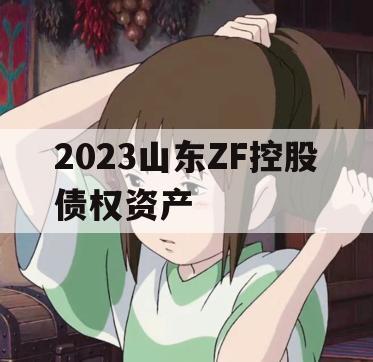 2023山东ZF控股债权资产