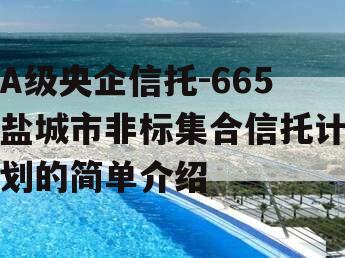 A级央企信托-665盐城市非标集合信托计划的简单介绍