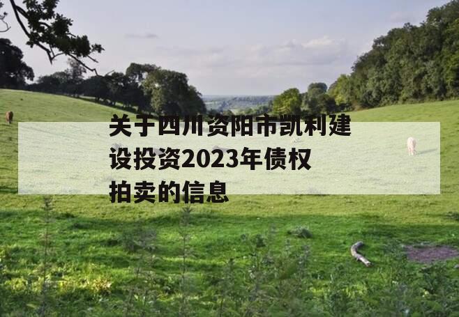 关于四川资阳市凯利建设投资2023年债权拍卖的信息