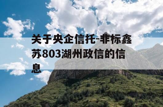 关于央企信托-非标鑫苏803湖州政信的信息