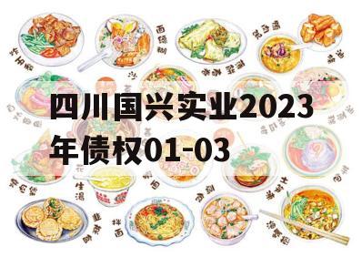 四川国兴实业2023年债权01-03