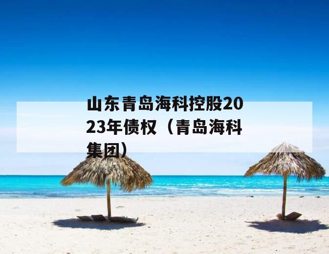 山东青岛海科控股2023年债权（青岛海科集团）