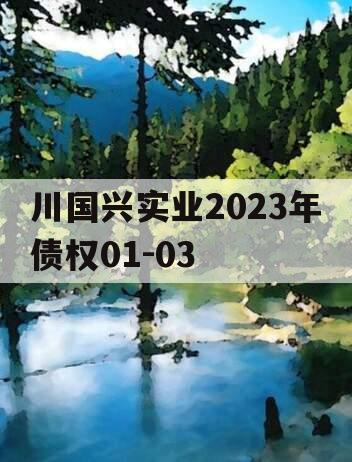 川国兴实业2023年债权01-03