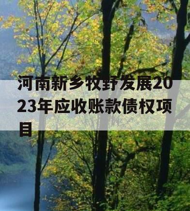 河南新乡牧野发展2023年应收账款债权项目