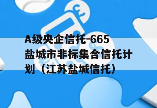 A级央企信托-665盐城市非标集合信托计划（江苏盐城信托）