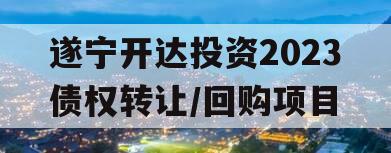 遂宁开达投资2023债权转让/回购项目