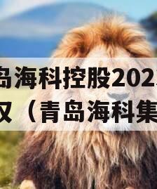 青岛海科控股2023债权（青岛海科集团）