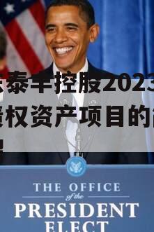 山东泰丰控股2023年债权资产项目的简单介绍