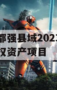 成都强县域2023年债权资产项目