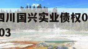 四川国兴实业债权01-03