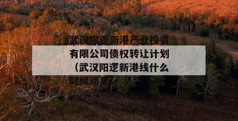 武汉阳逻新港产业投资有限公司债权转让计划（武汉阳逻新港线什么时候动工）