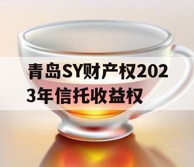 青岛SY财产权2023年信托收益权