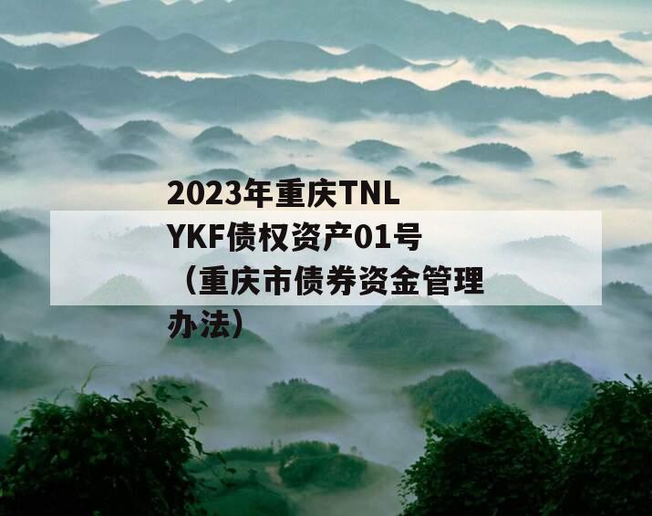 2023年重庆TNLYKF债权资产01号（重庆市债券资金管理办法）