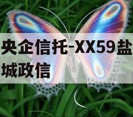 央企信托-XX59盐城政信