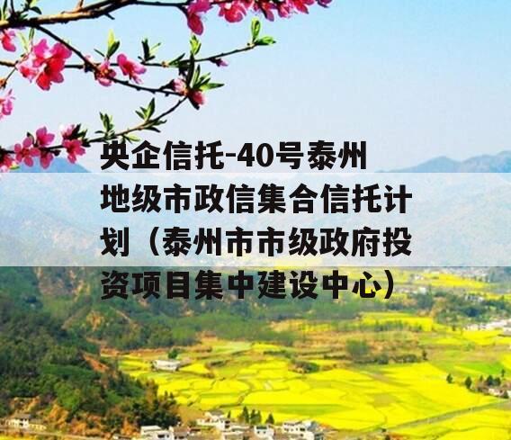 央企信托-40号泰州地级市政信集合信托计划（泰州市市级政府投资项目集中建设中心）